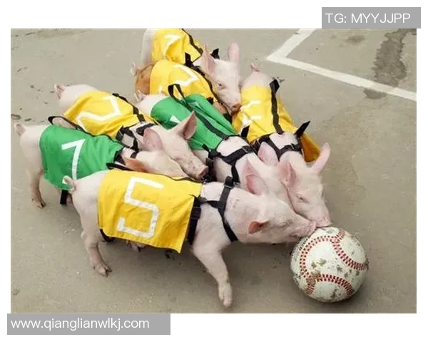 外号小猪的足球明星如何在绿茵场上展现独特魅力与实力